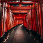 神社のシンボル「鳥居」の意味と種類